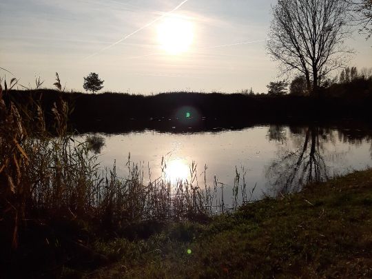 Kiesgrube Kallenbach-4