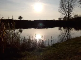 Kiesgrube Kallenbach-4