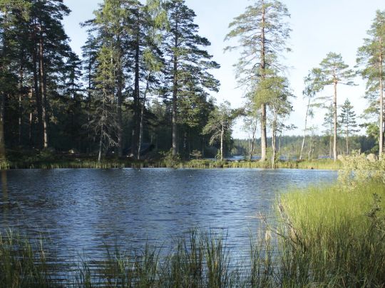 Stora Kloten