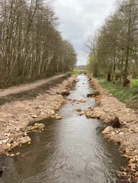 Mühlenbach (Löningen)-1