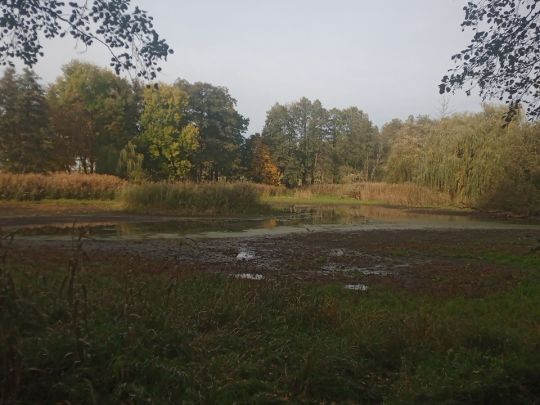 Steigmühlenteich (Schlieben)-3