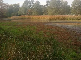 Steigmühlenteich (Schlieben)-3