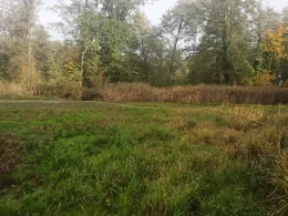 Steigmühlenteich (Schlieben)-4