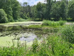 Steigmühlenteich (Schlieben)-1