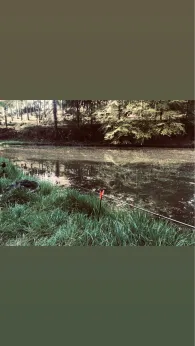 Finkenteich (Schmalkalden)