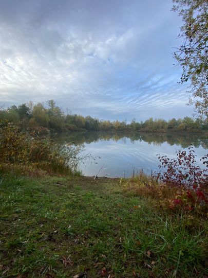 Kiesseen Stahle