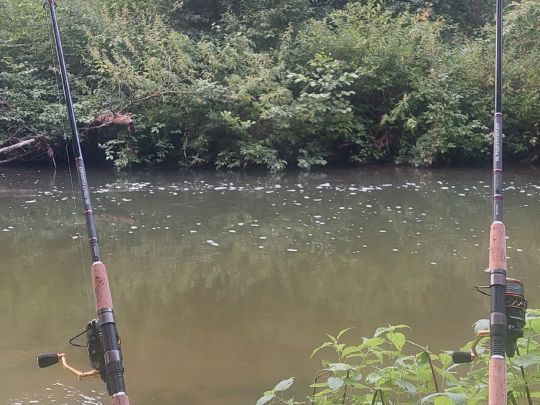 Schwarzach (Schwabach)