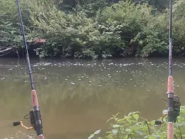 Schwarzach (Schwabach)