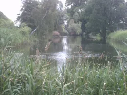 Torflöcher im Ruppiner Luch