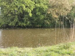 Dornumersieler Tief (Roggenstede)-1