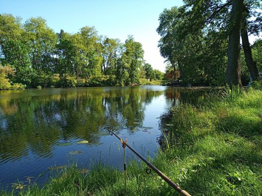 Oder-Spree-Kanal (Spreenhagen)-3