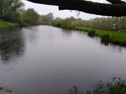 Aue (Hamburg-Finkenwerder)