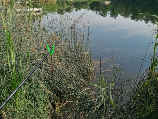 Kleiner Richard (Sandersdorf)-1