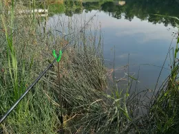 Kleiner Richard (Sandersdorf)-1