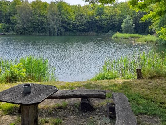 Kleiner Richard (Sandersdorf)-2