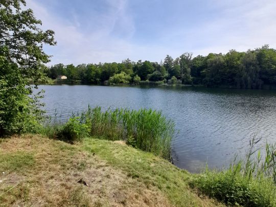 Kleiner Richard (Sandersdorf)-4