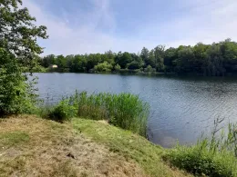 Kleiner Richard (Sandersdorf)-4