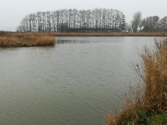 Angeln in Wesselburener Deichhausen