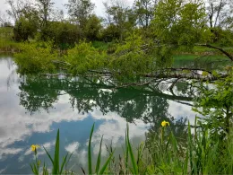 Nasenloch (Winhöring)-1