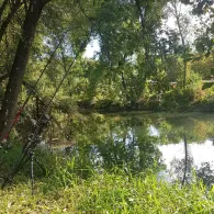 Neckar (Nürtingen)-2