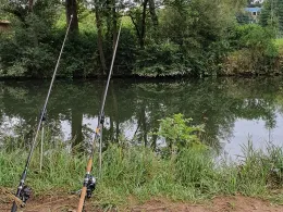 Neckar (Nürtingen)-1