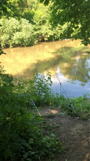 Neckar (Nürtingen)-3