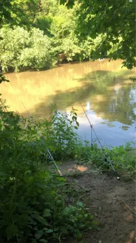 Neckar (Nürtingen)-3