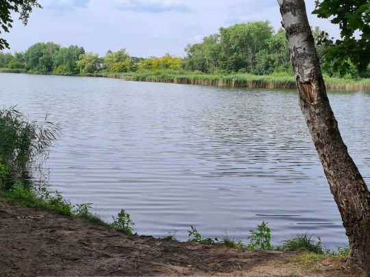 Krummer See (Sperenberg) angeln