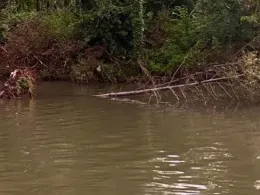 Neckar (Stuttgart)-2