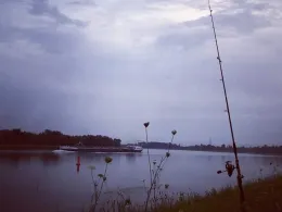 Rhein (Kappel-Grafenhausen)-1