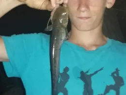 Weiße Elster (Halle/Saale)-4