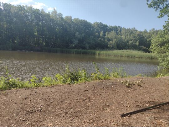 Fischbachtalweiher-2