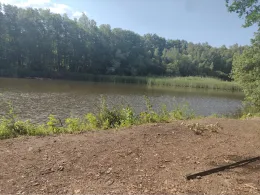 Fischbachtalweiher-2