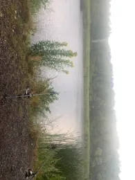 Fischbachtalweiher-1