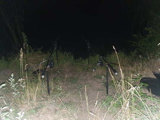 Fischbachtalweiher-3