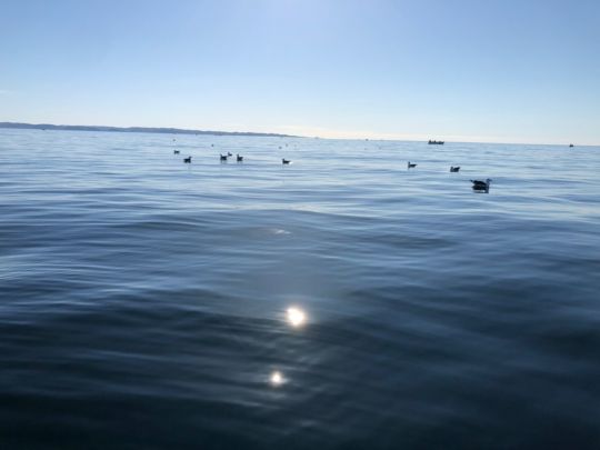 Farsund-1