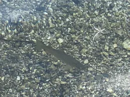 Hintersee (Ramsau)-4