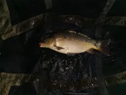 Badesee Bergerdamm Lager