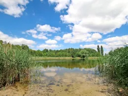 Badesee Bergerdamm Lager-3