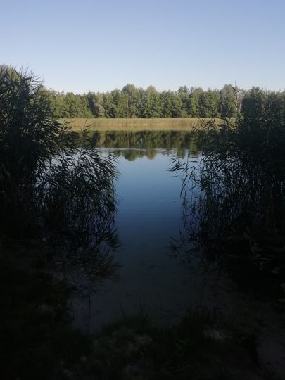 Badesee Bergerdamm Lager-4