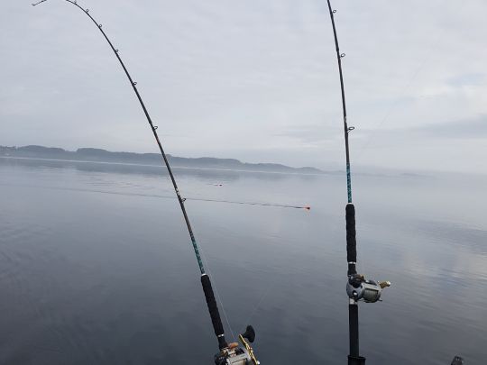 Apenrader Förde-2