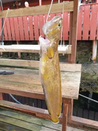 Nordsee (Sotra/Bergen)-1