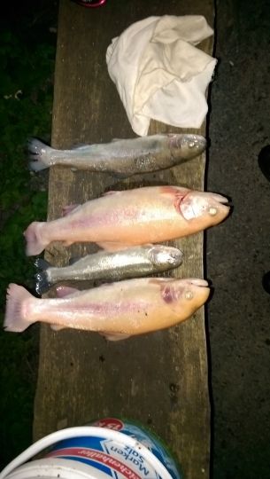 Fischzucht Bonnet-3