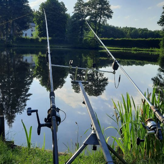 Vereinsweiher ASV Orscholz