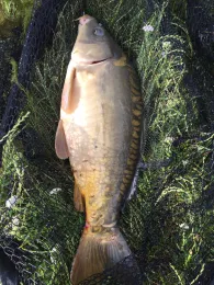 Gewerbegebiet-Teiche Queis-3