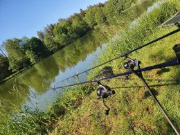 Rohrweiher (Weißdorf)