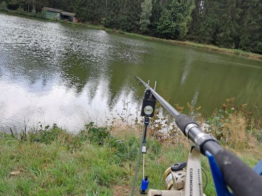 Rohrweiher (Weißdorf)-1