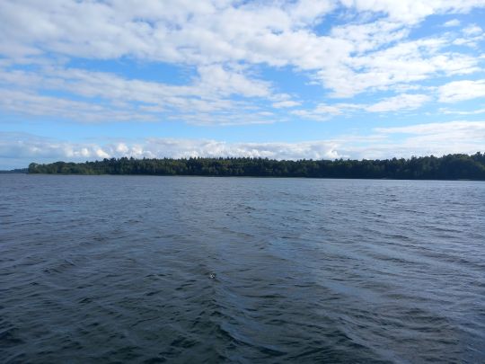 Schaalsee Seeteil Dargow-4