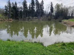 Angelweiher Höhberg II