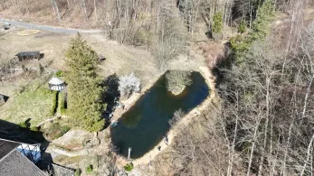Arnsberger-Wald Forelle Angelteich (Wildshausen)-1